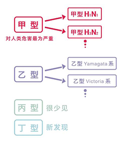 158643057386497981.jpg 图2.jpg