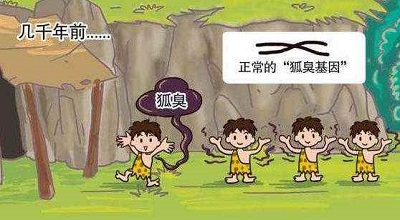 158643645744811664.jpg 图3.jpg