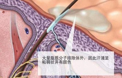 158643651099801441.jpg 图4.jpg